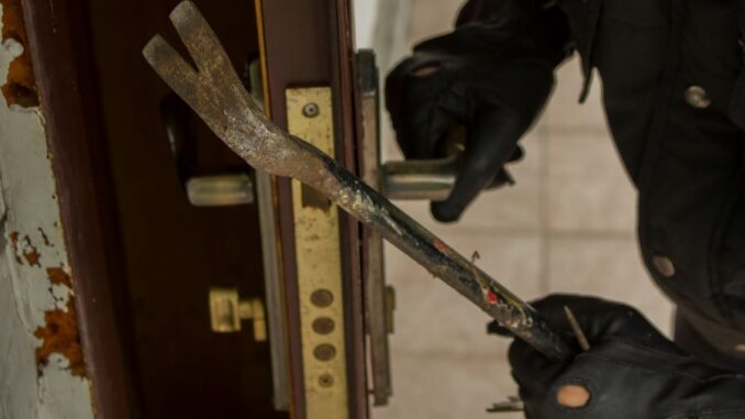 Ilustrační foto: T. Branda, Shutterstock