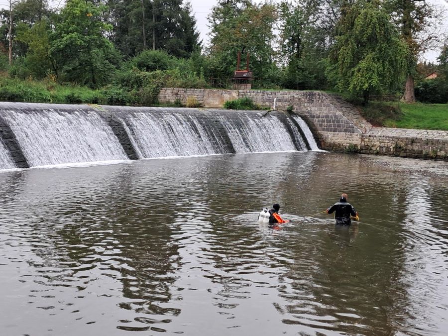 Pátrání u Mutěnického jezu. Foto: Policie ČR - KŘP Jihočeského kraje