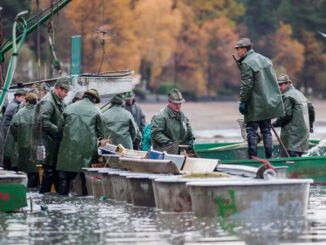 Foto: Rybářství Hluboká