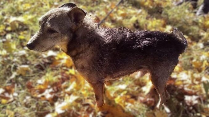 Ilustrační foto: Naděžda A. Fraisová