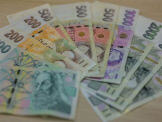 Ilustrační foto: T. Branda