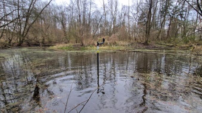 Senzor pro sledování líhnutí komárů