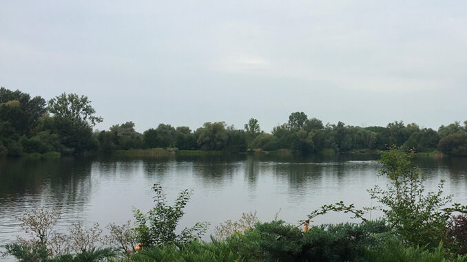 Přírodní koupaliště