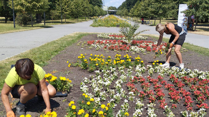Ornamentální záhony ve Smetanových sadech v Olomouci