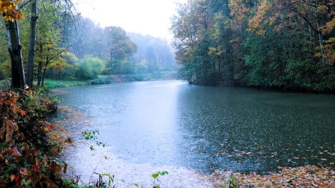 rybník Prostřední Svrčov