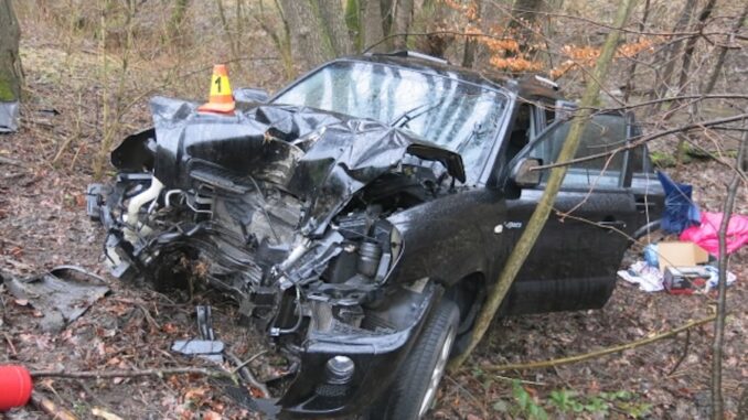 Řidič narazil do stromu